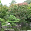 japon 2009 247,Himeji, jardin Koko-en